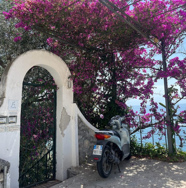 Welcome to Mhoonlight