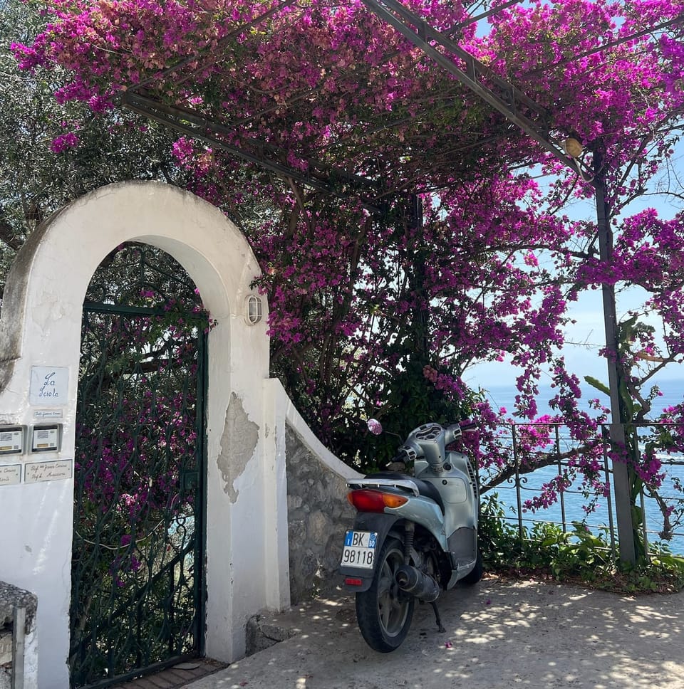 Welcome to Mhoonlight